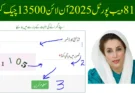 8171 ویب پورٹل 2025 آن لائن 13500 چیک کریں