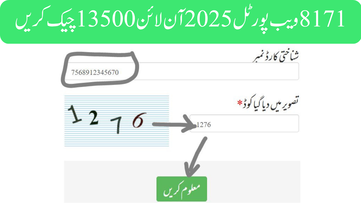8171 ویب پورٹل 2025 آن لائن 13500 چیک کریں